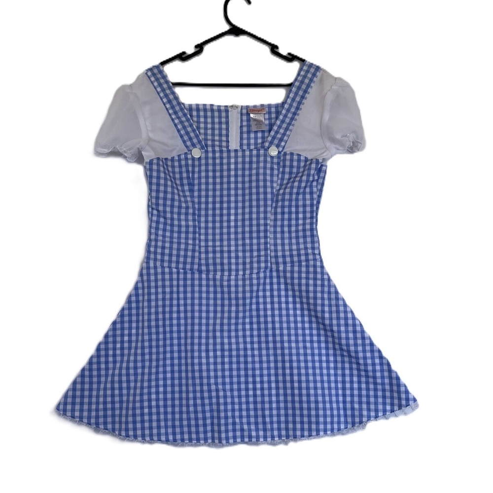 Blue Gingham Dress